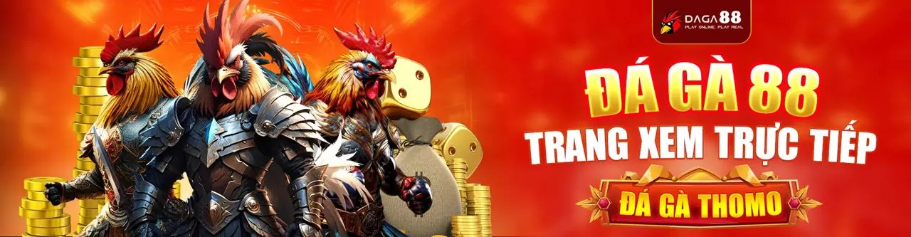 Đá Gà Trực Tuyến Sôi Động tại zh88 nhà cái